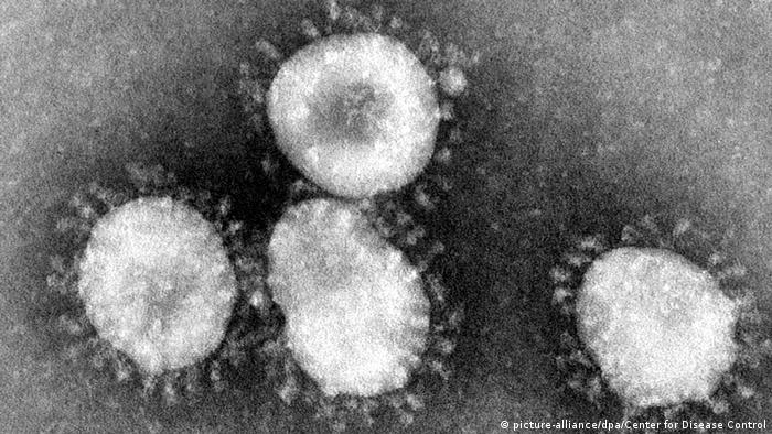 En la imagen se puede apreciar el coronavirus rodeado de una corona.