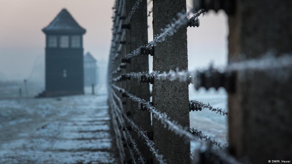 Рассказ бывшей узницы о медицинских опытах над детьми в Освенциме ...