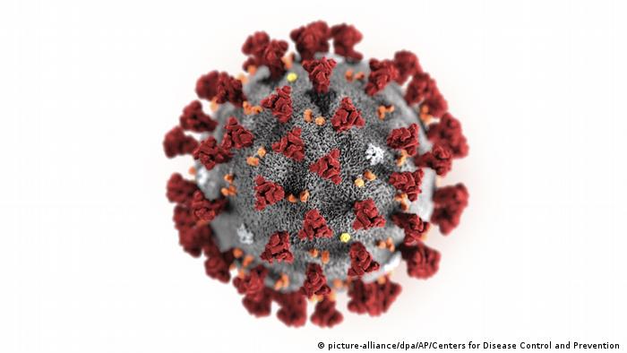 Coronavirus - Illustration (picture-alliance/dpa/AP/Centers for Disease Control and Prevention )