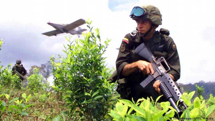 Policial colombiano patrulha plantação de cocaína enquanto avião sobrevoa campo