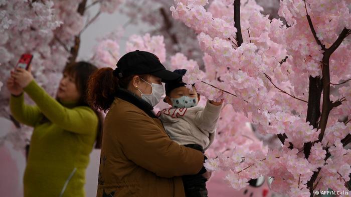 BdTD China Frühling in Nanjing Zierkirschen-Blüte (AFP/N.Celis)