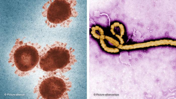 Symbolbild Coronavirus und Ebola