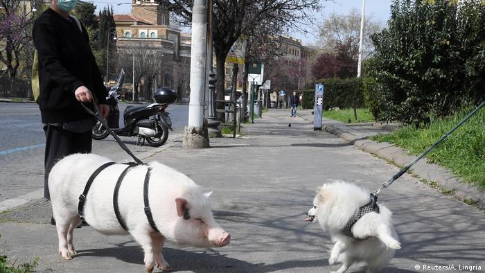 BdTD Italien Rom Frau mit Corona-Mundschutz führt Hausschwein Dior aus (Reuters/A. Lingria)