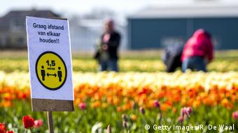 Η Ολλανδία έχει τεράστιο τζίρο στις εξαγωγές λουλουδιών. Ο κορωνοϊός πλήττει άμεσα και αυτόν τον τομέα 