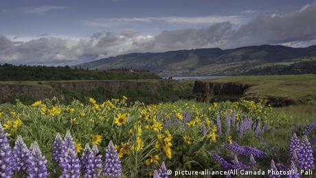 USA Columbia River Gorge (picture-alliance/All Canada Photos/F. Pali)