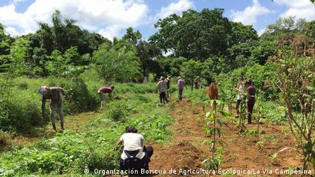 Bauern in Lateinamerika ( Organización Boricuá de Agricultura Ecológica/La Via Campesina)