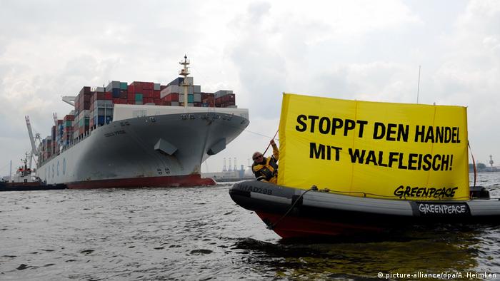Greenpeace protesters trying to stop a cargo ship.