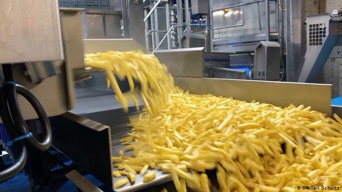 Fries coming off the production line at the Mydibel factory need new homes to relieve a production glut.