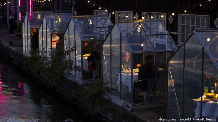 Посетители центра Mediamatic в Амстердаме ужинают в теплице