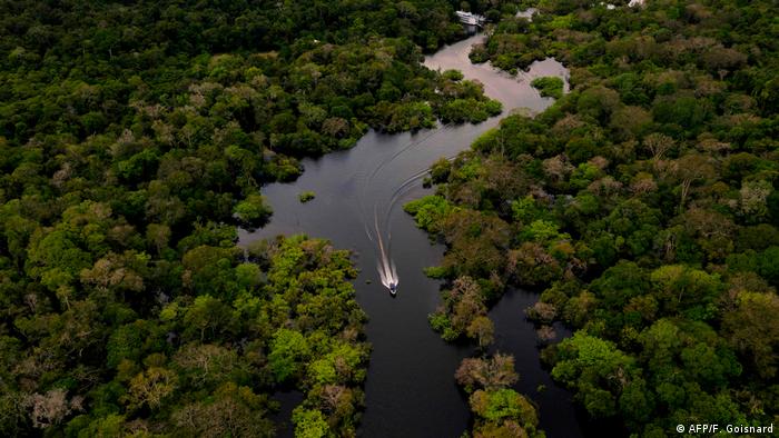 La Amazonia es clave en la lucha contra el cambio climático: almacena alrededor de 130 mil millones de toneladas de carbono, casi el valor de una década de emisiones globales de dióxido de carbono