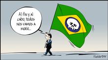 DW Karikatur von Vladdo - Bolsonaros Flagge