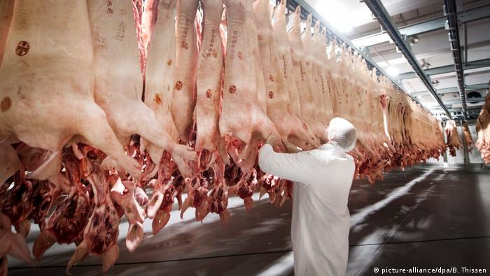 A worker attends to hanging pig carcasses at the Tönnies slaughterhouse in 2017. (picture-alliance/dpa/B. Thissen)
