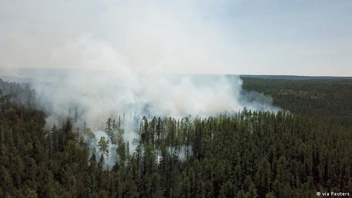 Incêndio florestal na Sibéria