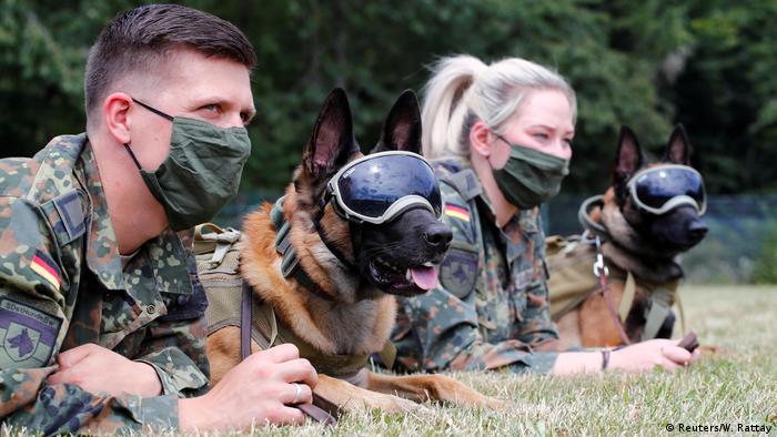 Smart German Dogs Can Now Detect Positive COVID19