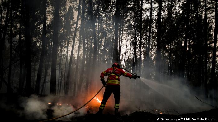 A firefighter tries to extinguish a wildfire in Vale da Cuba near Isna village