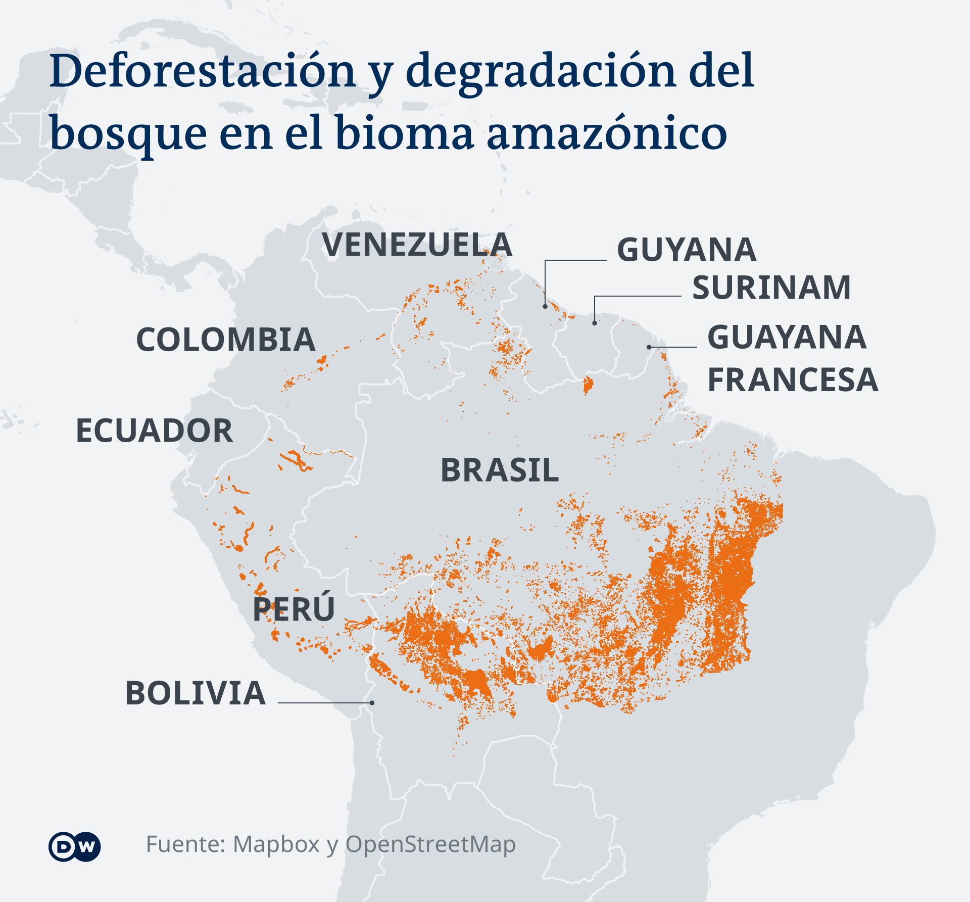 La ampliación de la frontera agrícola y ganadera, así como la minería, son algunas de las causas de la deforestación en la Amazonia