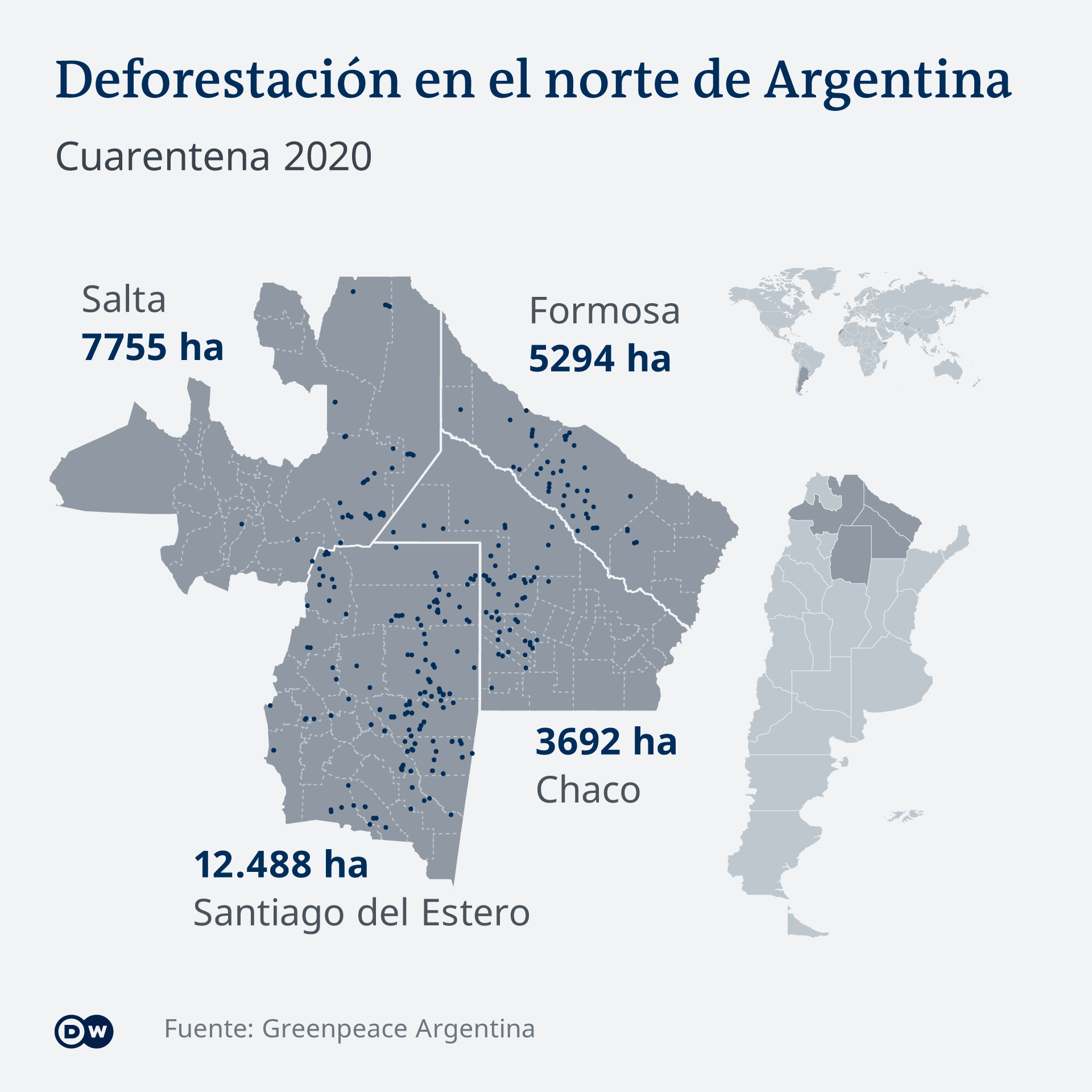 Concentración de la deforestación en el norte del país. Según la organización ecologista se han destruido 38.852 hectáreas de bosques nativos.