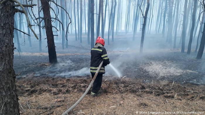 Еко-пожежа на Луганщини сягнула межі